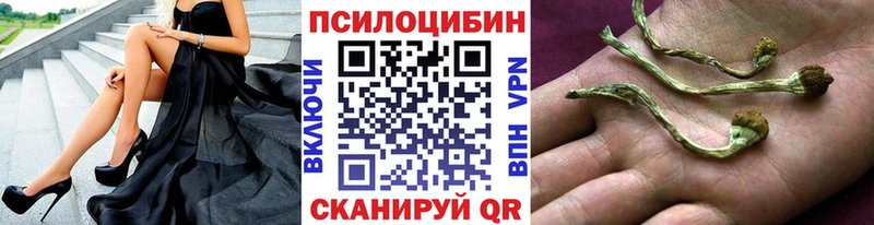 кракен зеркало  Бежецк  Галлюциногенные грибы Magic Shrooms  что такое  